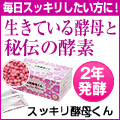 �G���U�C���T�v�������g�ʔ�NO.2