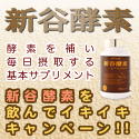�G���U�C���T�v�������g�ʔ�NO.3