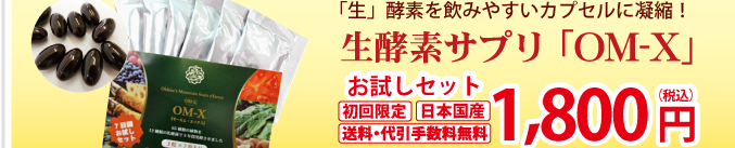 �G���U�C���T�v�������g�̂������߂͂������Z�b�g
